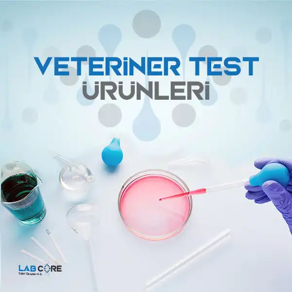 Veteriner Test Ürünleri | LabCore